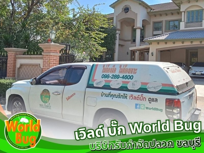 กำจัดปลวกตามบ้าน ชลบุรี